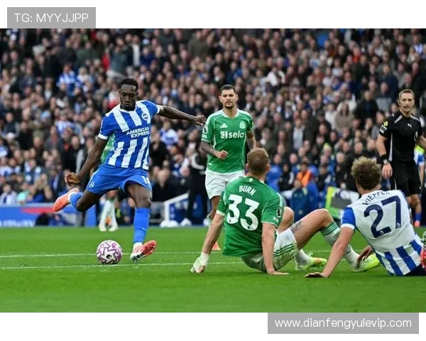 布莱顿俱乐部崛起之路：从英超新星到欧洲赛场的挑战与机遇